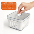 Kit 4 Organizadores com Cesto de Drenagem e Respiro – Linha Fresh 3,8L