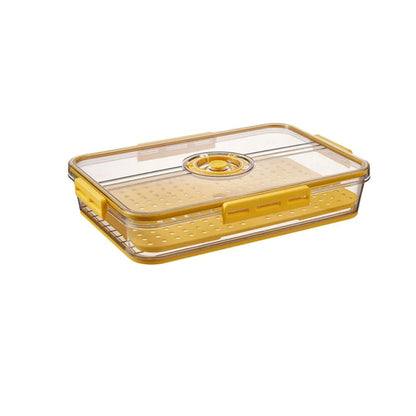 Vasilha de Plástico com Tampa com Controle de Tempo e Drenagem